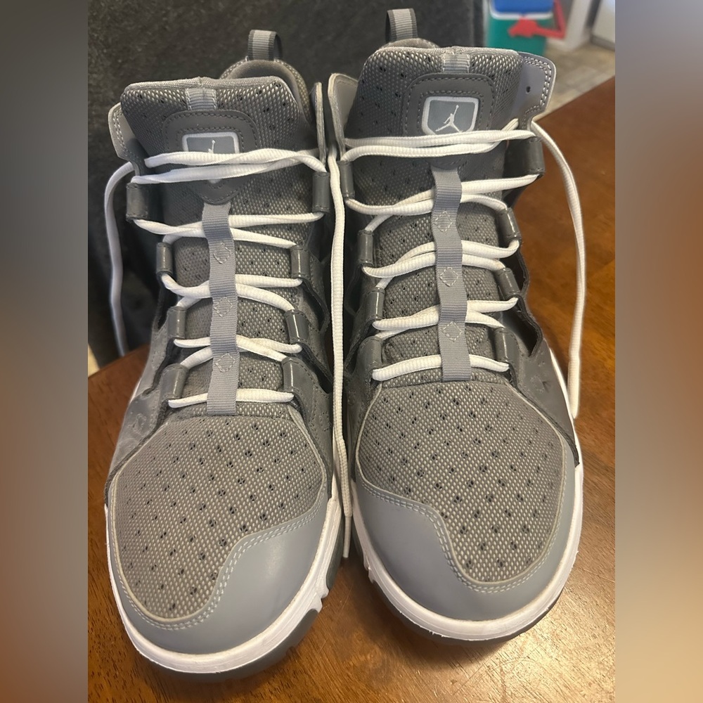 Jordan TR Legend Stealth Men’s 14